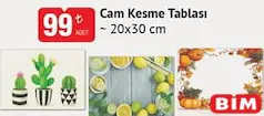 CAM KESME TABLASI 20X30 CM